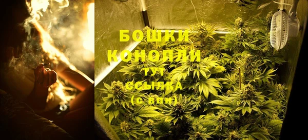 соль ск Богородицк