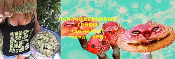соль ск Богородицк