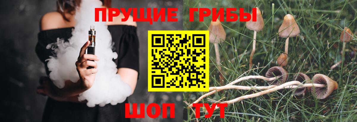 Псилоцибиновые грибы Cubensis Вичуга