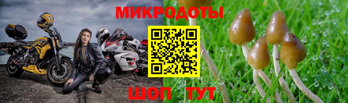 Псилоцибиновые грибы GOLDEN TEACHER Вичуга