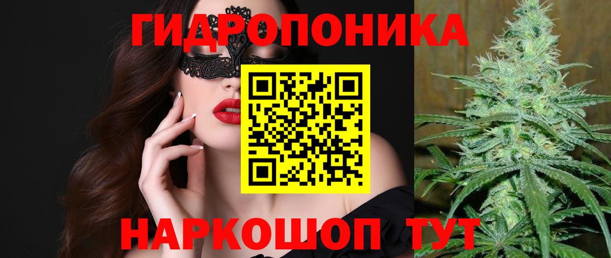 Конопля гибрид  Бошки Шишки MAZAR  Вичуга  МАРИХУАНА OG Kush  Вход с VPN 